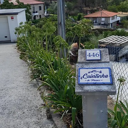 Quintinha De Pinouco *