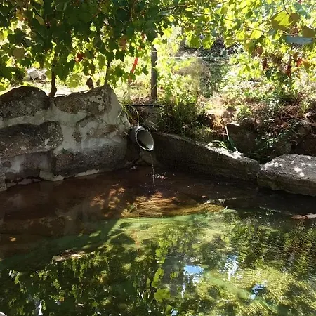 Quintinha De Pinouco Resende