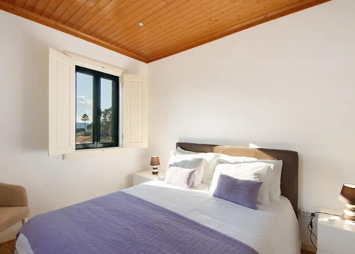 Quintinha De Pinouco