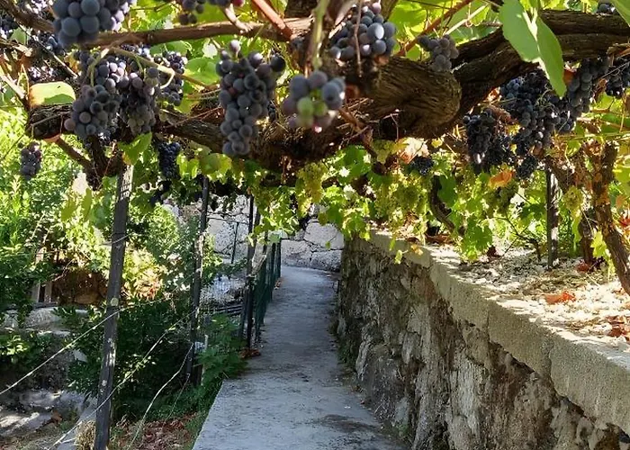 דירה Quintinha De Pinouco