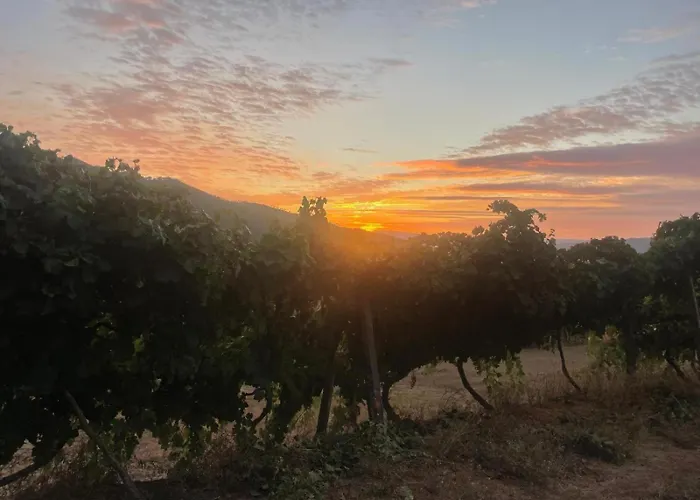 דירה Quintinha De Pinouco רסנדה